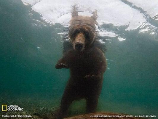 Photo of Christopher C.