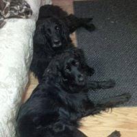 photo of Mary-kay P.