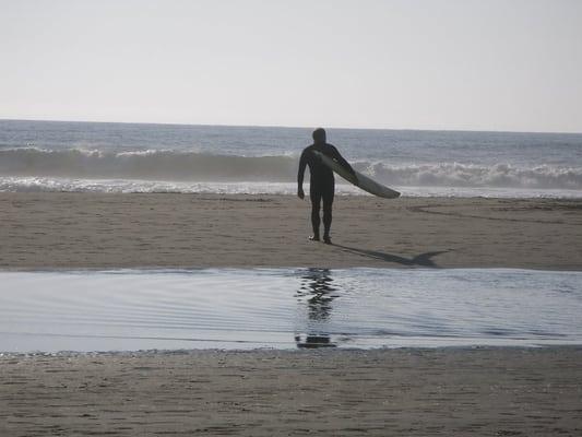 Photo of francez M.