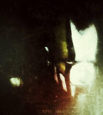 photo of Christophe L.