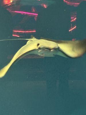 photo of Charlotte S.