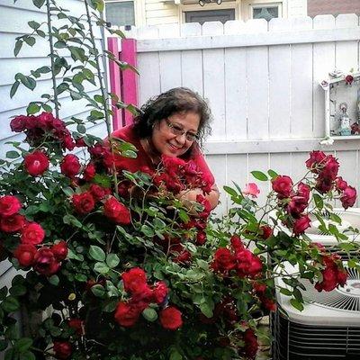 Photo of Cristina R.