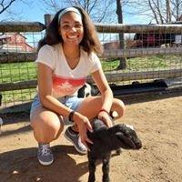 Photo of Desha M.