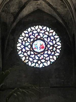 Photo of Christina P.