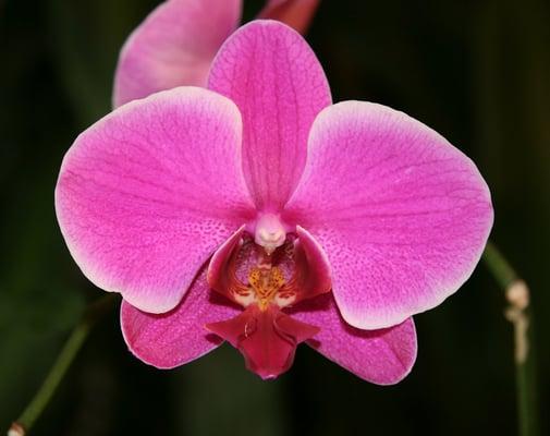 photo of Cristina M.