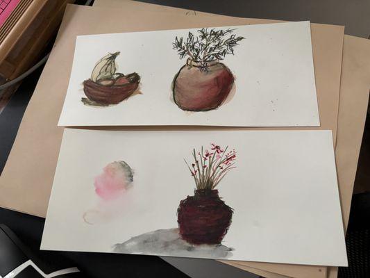 photo of Galliardia A.