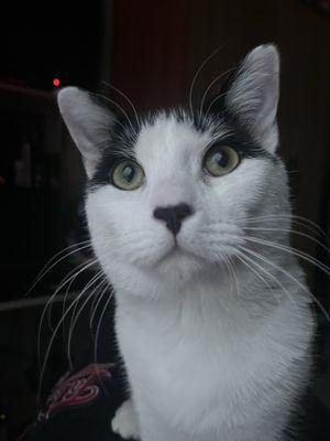 Photo of Parker L.
