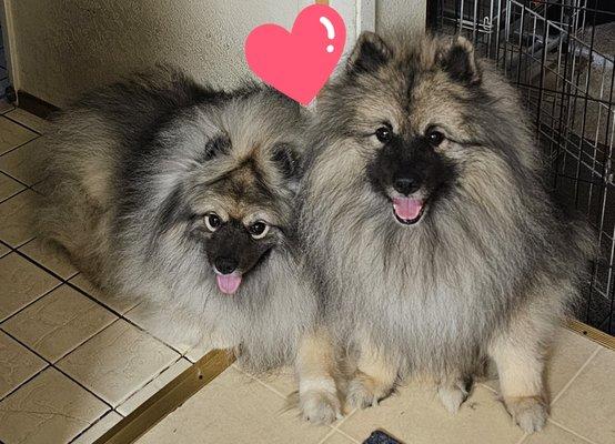 photo of Kristine F.