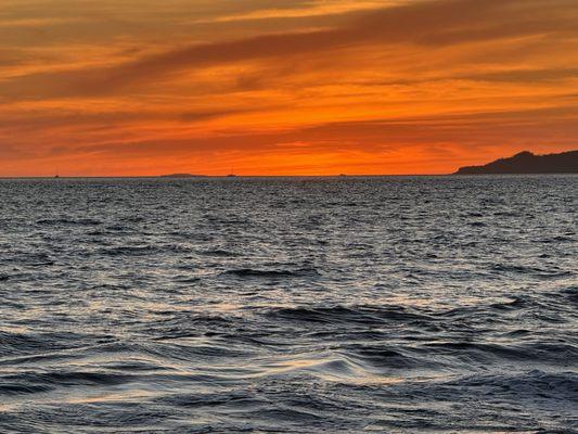 photo of Catherine S.