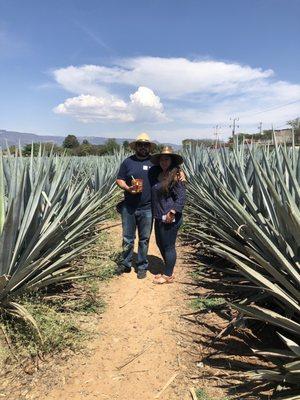 photo of Fernando P.