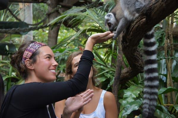 Photo of Dominique M.