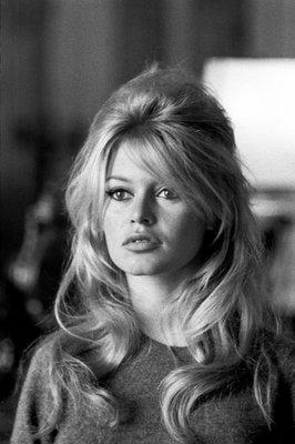 Photo of Bridgett J.