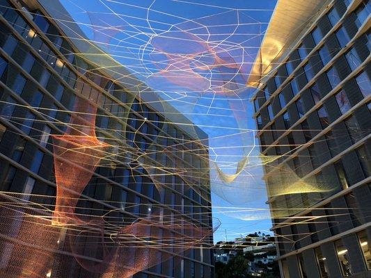 photo of Jermaine B.