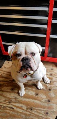 photo of Monica Marie H.