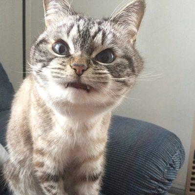 photo of Christian D.