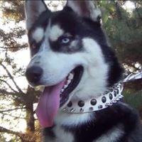 Photo of Seco M.