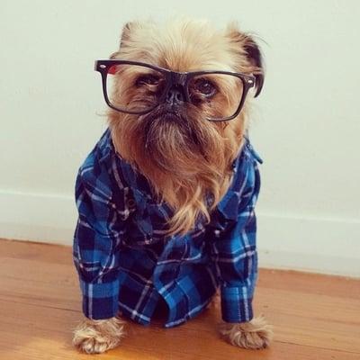 Photo of Twinkle T.