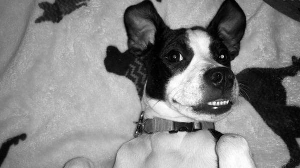 photo of IrregularPant S.