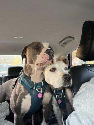 photo of Katerine G.