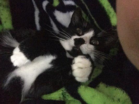 Photo of Angelique H.