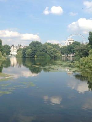 Photo of Christine H.