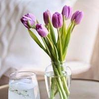 photo of Lauraine L.