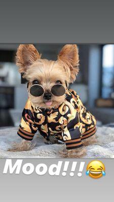 Photo of ADonna Lewis