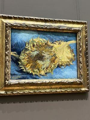 photo of Rhiannon E.