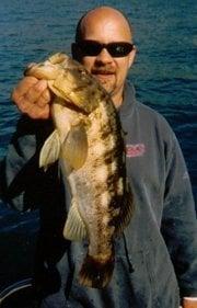 Photo of Steve A.
