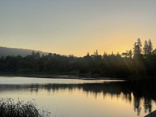 photo of Woodland F.