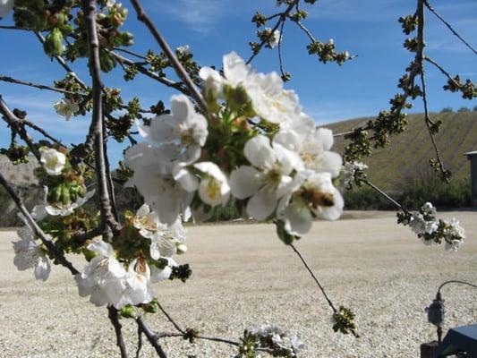 photo of Jennifer A.