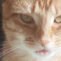 photo of Jennifer F.