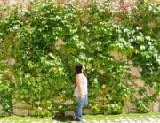 photo of Laurie Mhae T.