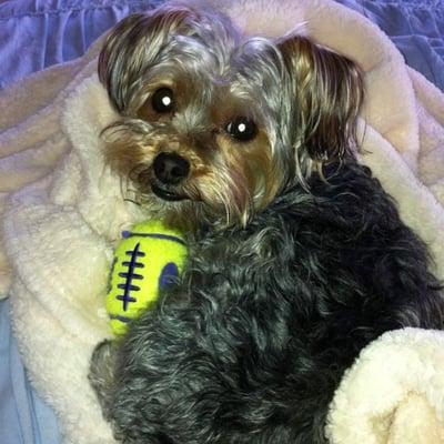 Photo of Maggie M.