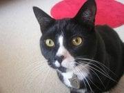 photo of Caroline A.