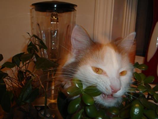 Photo of Bri H.