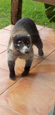 photo of Patricia W.