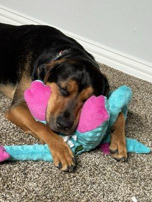 Photo of Izzy C.