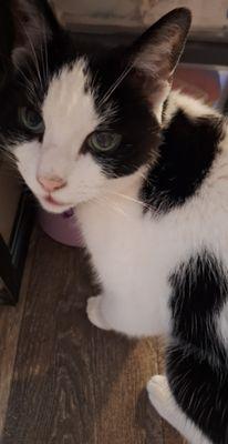 photo of Heidilynn J.