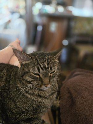 photo of Christine G.