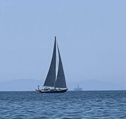 photo of Michelle D.