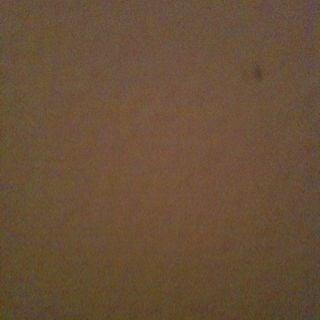 photo of Nicholas W.