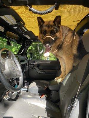 photo of Elizabethann F.