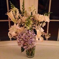 photo of Cristina B.