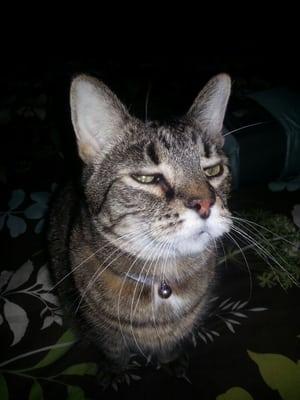 photo of Clarke And Sandy L.