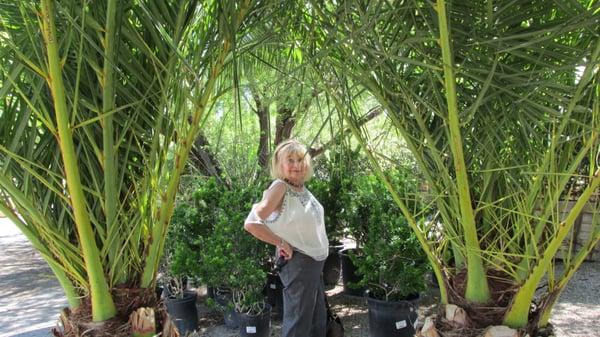 Photo of Valerie S.