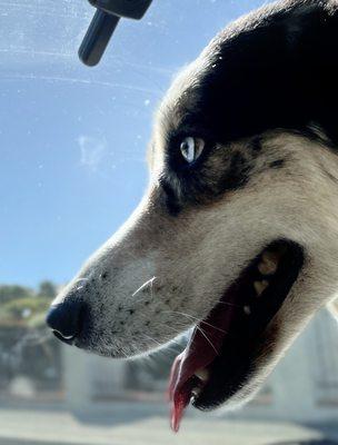 photo of Luckonluck L.