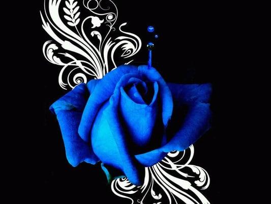 photo of Jennifer M.