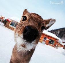 photo of Jianxiong S.