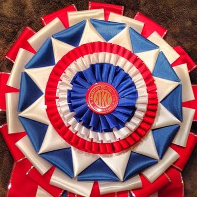 Photo of Michelle S.